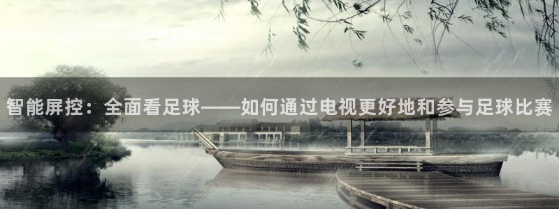  智能屏控：全面看足球——如何通过电视更好地和参与足球比赛