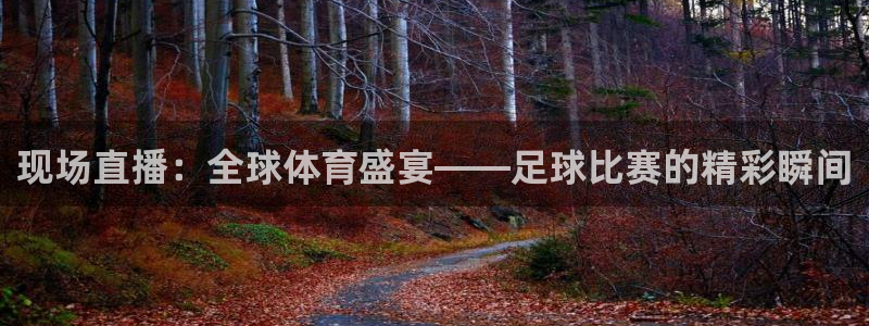 现场直播：全球体育盛宴——足球比赛的精彩瞬间