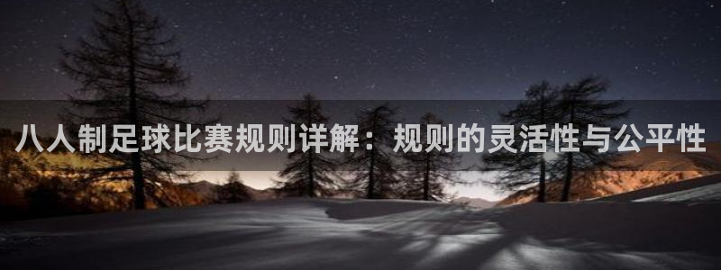  八人制足球比赛规则详解：规则的灵活性与公平性