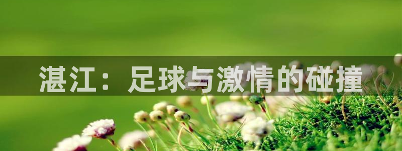  湛江：足球与激情的碰撞