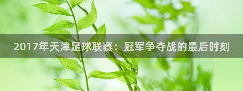 2017年天津足球联赛：冠军争夺战的最后时刻