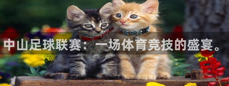  中山足球联赛：一场体育竞技的盛宴。
