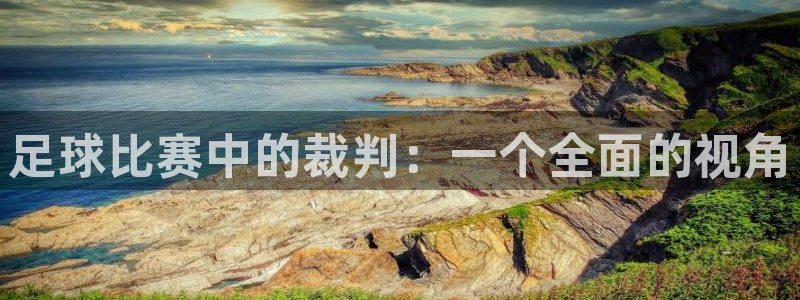 足球比赛中的裁判：一个全面的视角