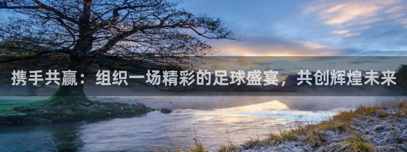 携手共赢：组织一场精彩的足球盛宴，共