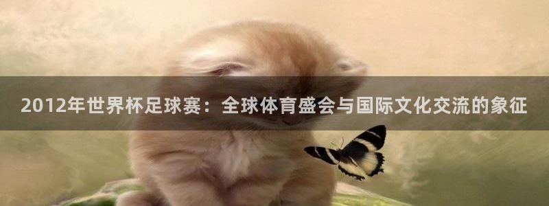 2012年世界杯足球赛：全球体育盛会