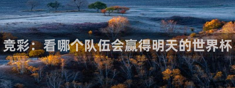 竞彩：看哪个队伍会赢得明天的世界杯