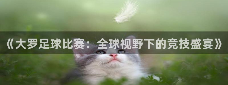《大罗足球比赛：全球视野下的竞技盛宴