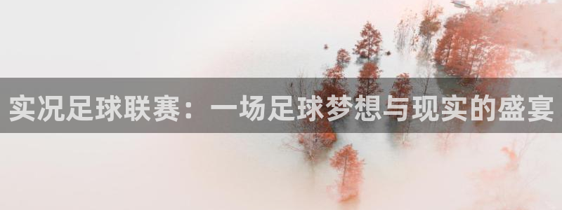 实况足球联赛：一场足球梦想与现实的盛