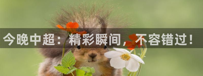 今晚中超：精彩瞬间，不容错过！