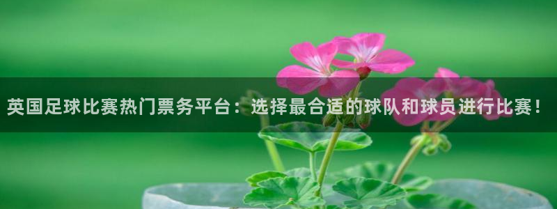 英国足球比赛热门票务平台：选择最合适
