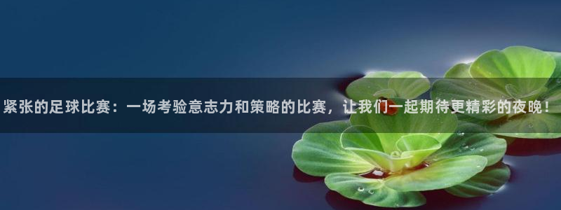 紧张的足球比赛：一场考验意志力和策略