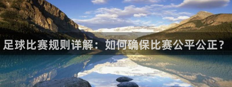 足球比赛规则详解：如何确保比赛公平公