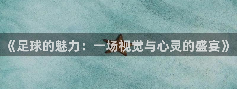 《足球的魅力：一场视觉与心灵的盛宴》