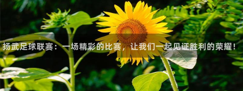 扬武足球联赛：一场精彩的比赛，让我们