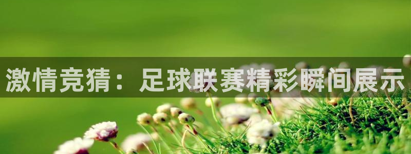 激情竞猜：足球联赛精彩瞬间展示
