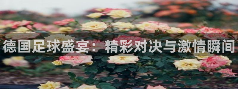 德国足球盛宴：精彩对决与激情瞬间