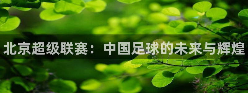 北京超级联赛：中国足球的未来与辉煌