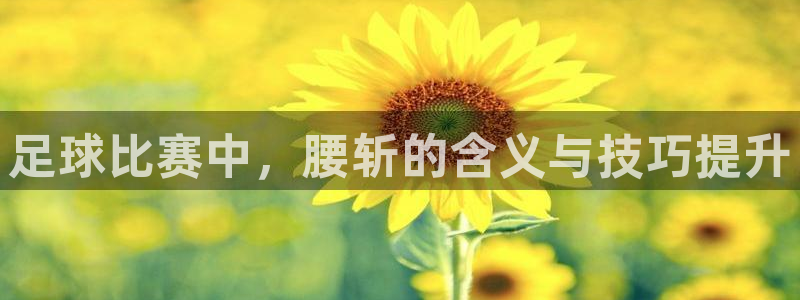 足球比赛中，腰斩的含义与技巧提升