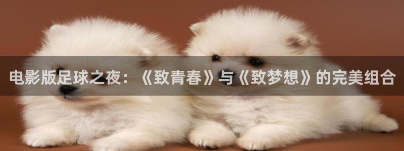 电影版足球之夜：《致青春》与《致梦想》的完美组合