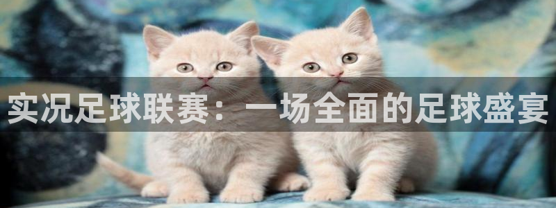  实况足球联赛：一场全面的足球盛宴