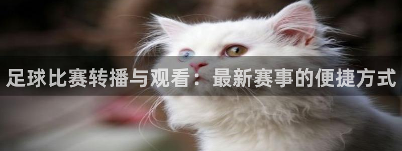 足球比赛转播与观看：最新赛事的便捷方式